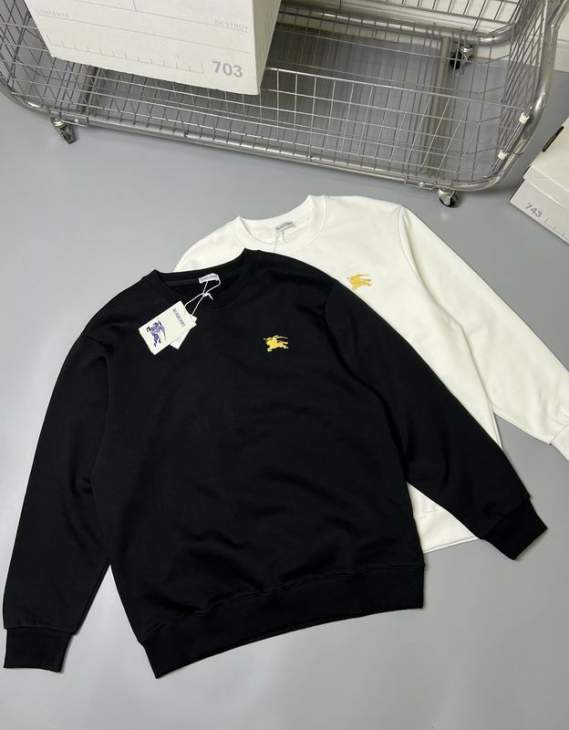 Picture of Burberry Sweatshirt _SKUBurberryS-XLhgntx0631054